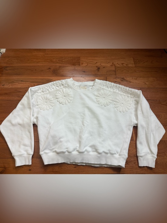 American Eagle Outfitters Tops - American Eagle Embroidered Crochet Floral Crewneck